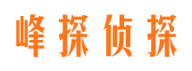 隆阳侦探社